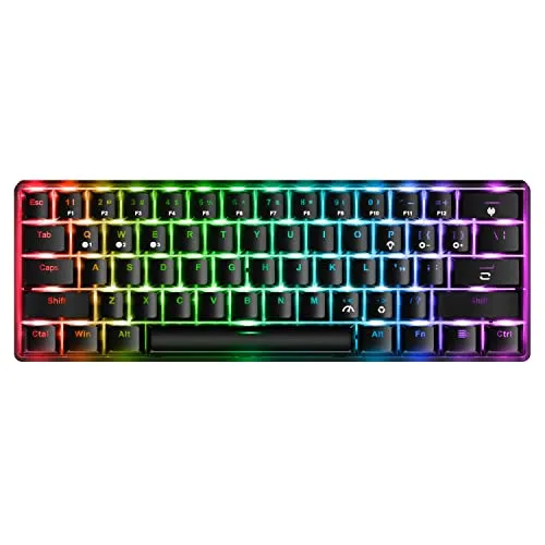 Fiodio 61 Keys RGB Wireless and Wired Mechanical Gaming Keyboard with Blue Switches, Audible Click Sound Rainbow Portable Compact Mini Office Keyboard for Windows PC Gaming, (F-SG61)