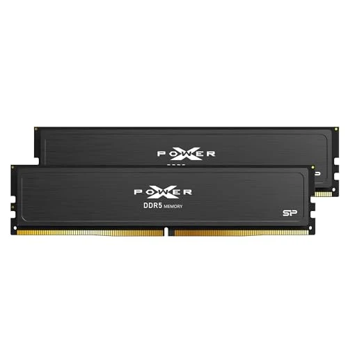 Silicon Power Value Gaming DDR5 32GB (2x16GB) 6000MT/s (PC5-48000) 288-pin CL30 1.35V UDIMM Desktop RAM Computer Memory SP032GXLWU60AFDEAE