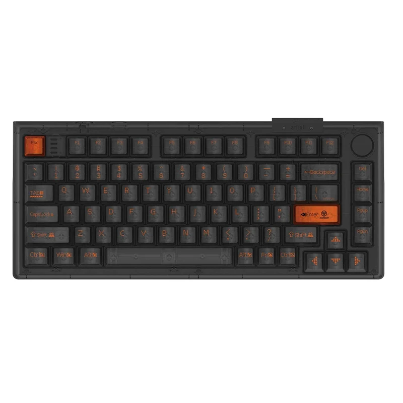 Darmoshark TOP75 Magnetic ANSI US Black [Raesha]