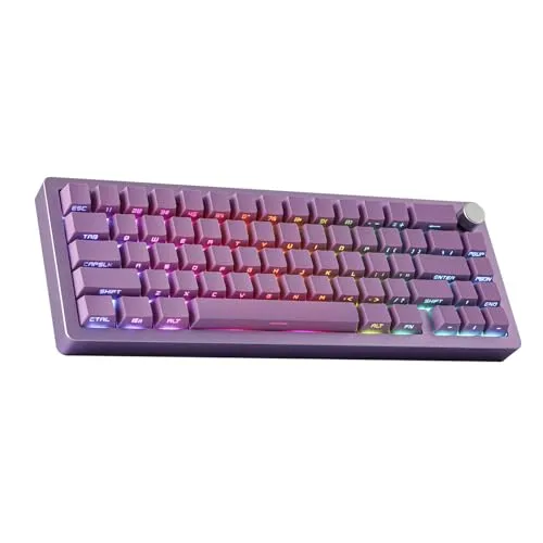 EPOMAKER Tide65 QMK/VIA Wireless Gaming Keyboard, 65% Aluminum Mechanical Keyboard, Programmable Creamy Keyboard, Bluetooth/2.4Ghz/USB-C, with FR4 Plate for Win/Mac (Purple, Lemon Switch)