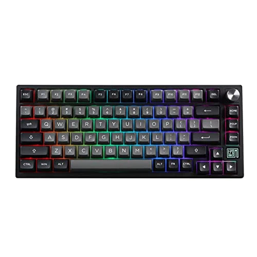 EPOMAKER TH80 SE Gasket 75% Mechanical Keyboard, NKRO Hot Swap RGB Triple Mode Gaming Keyboard with Poron/EVA Foam, Knob Control for E-Sport/Win/Mac (TH80 SE Black Silver, Epomaker Flamingo Switch)
