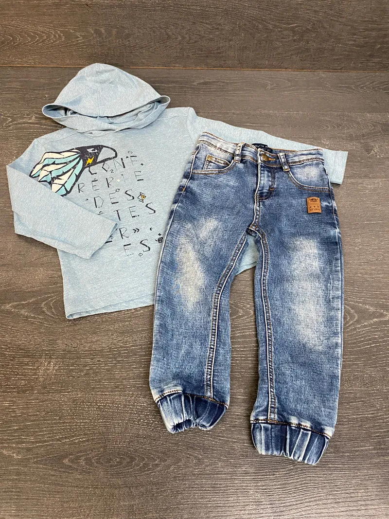 Friperie - hoddie et jogger - 3 ans -