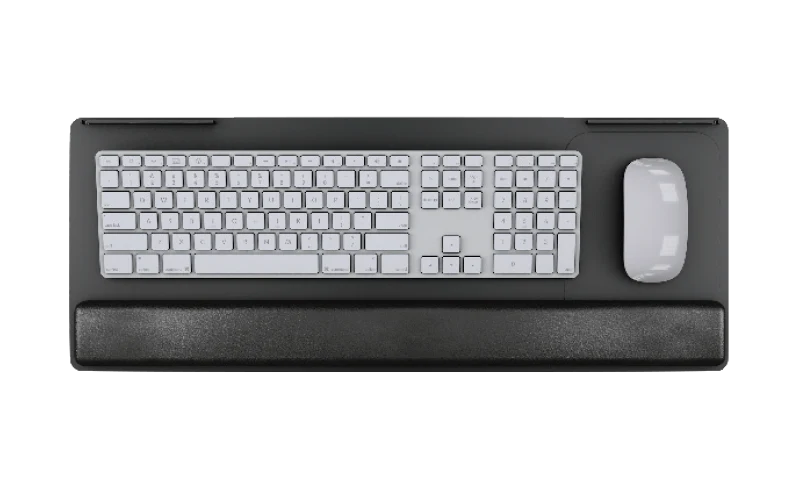 ESI PL003-25