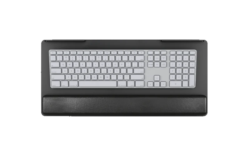 ESI PL003-19