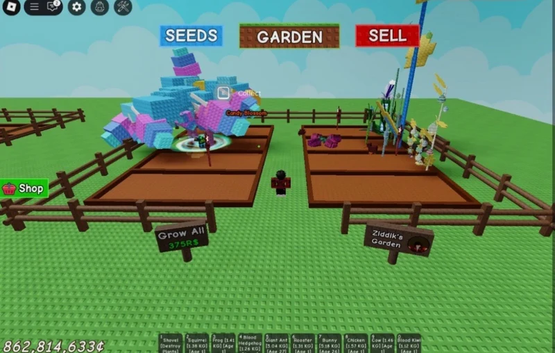 Grow A Garden | 🍬 2 Candy Blossom 🌸 | In Garden | RARE AND CHEAP