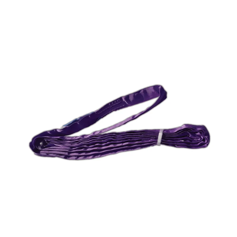 Endless Round Polyester Sling 2.5m